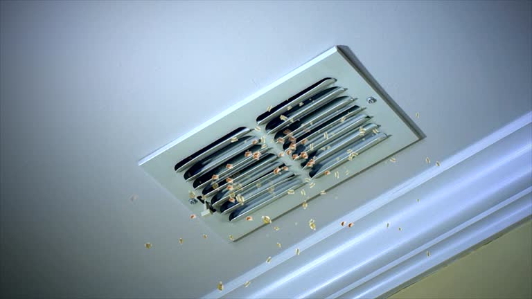 Best Emergency Air Duct Cleaning  in Halfway, MD