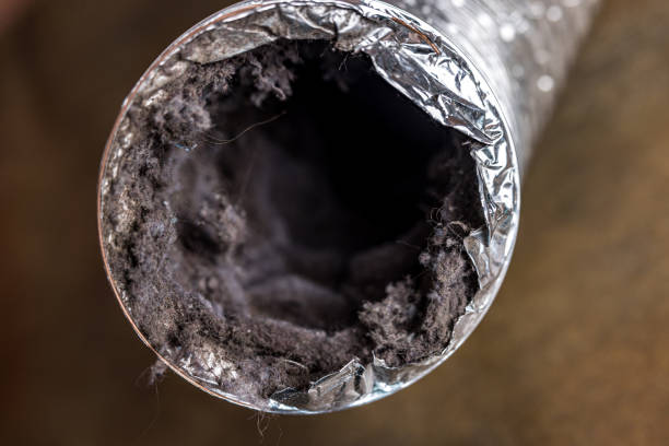 Best Residential Air Duct Cleaning  in Halfway, MD