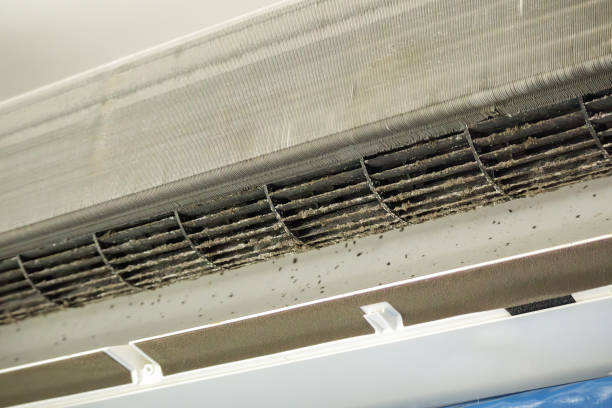 Best Affordable Duct Cleaning Services  in Halfway, MD